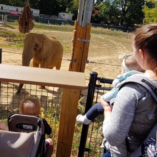 imgi_77_image6-1-rotated